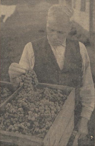 Zutphens Dagblad, 04-02-1956