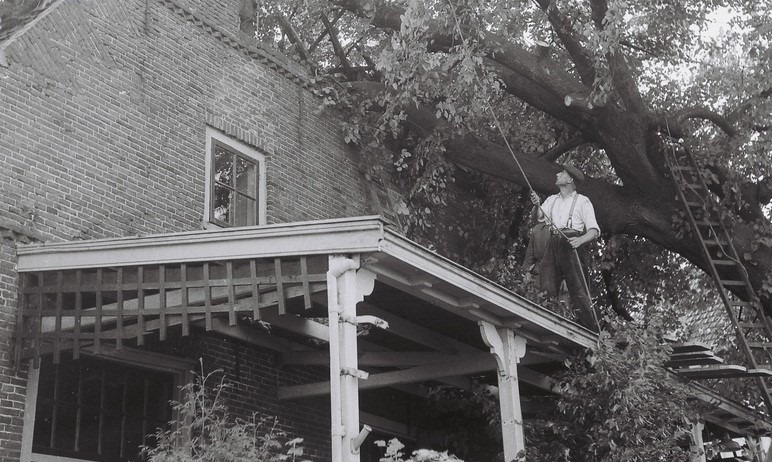 Markt 2, Aalten (Tante Mina) - Stormschade, 1952