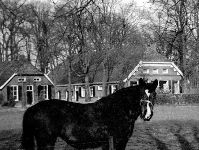 Nieuw Hondorp, Hondorpweg 7, Heurne
