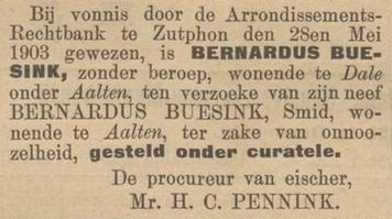 Bernardus Buesink, onnoozelheid - Zutphensche Courant, 01-06-1903