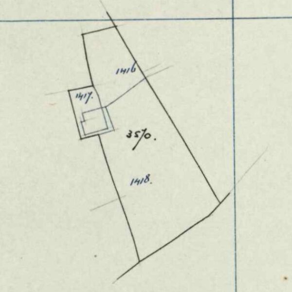 Boskerslag, Lintelo - Fragment kadastrale kaart (1894)