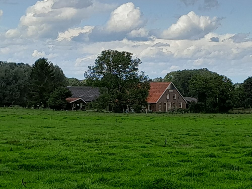 Buninkdijk 13, Haart (Hoornenborg)