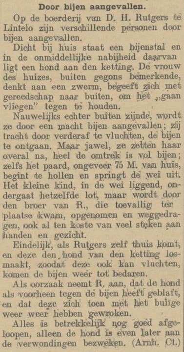 Door bijen aanvullen, Lintelo - De Grondwet, 26-08-1916