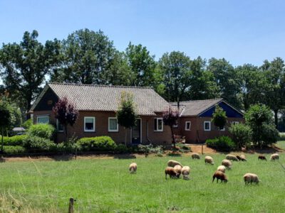 Doorninkhof - Veldweg 4, IJzerlo