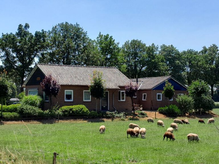 Doorninkhof - Veldweg 4, IJzerlo