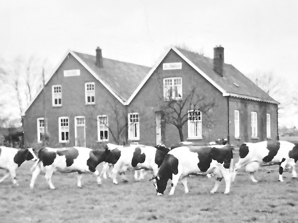 Den Bosch, Bosweg 4, Haart