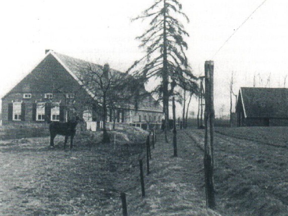 Kleuver, Buninkdijk 8, Haart