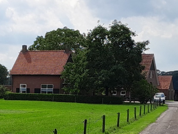 Kleuverspad 4, Haart (De Tuunte)