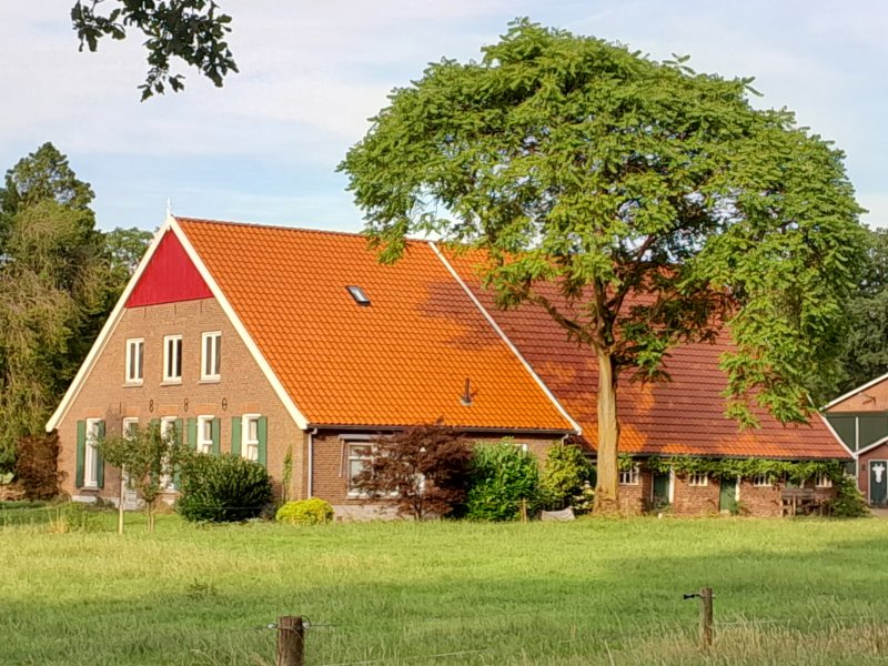 Krieger - Kriegerdijk 5, Haart