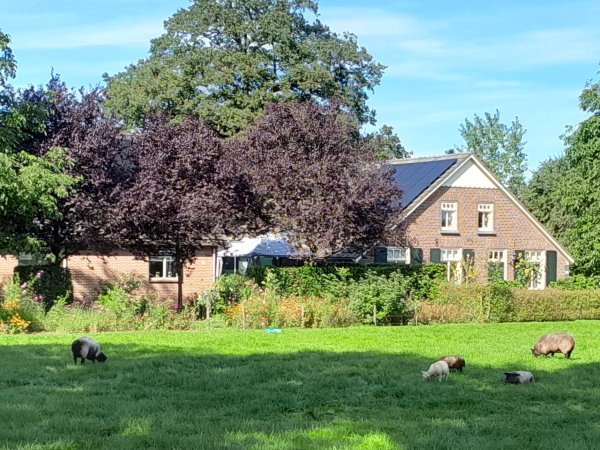 Kruisdijk 13, IJzerlo (Nieuwe Loo)