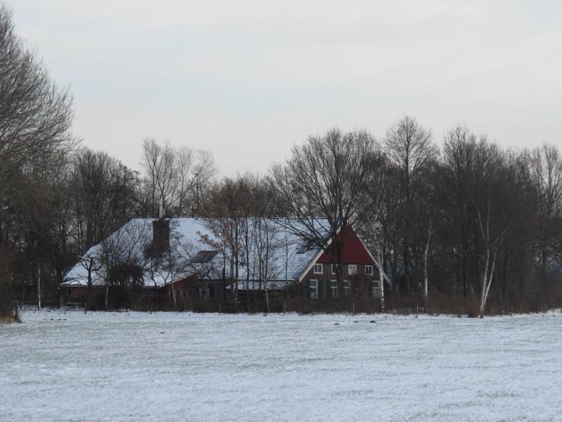 Wensink, Halteweg 5, Lintelo