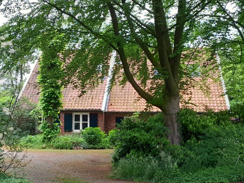 Romienendiek 10, Dale (De Stegge)