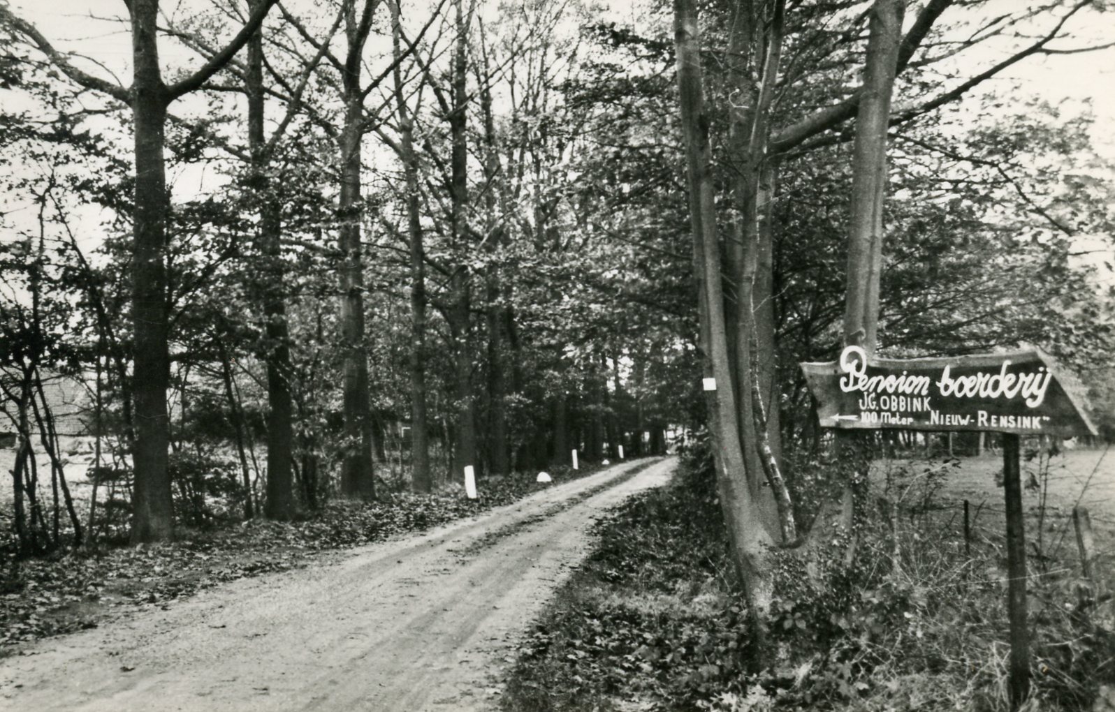 Sondernweg 11, Lintelo (Pensionboerderij Nieuw Rensink), 1965