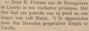 Steengroeve, Lintelo - Zutphensche Courant, 05-01-1921