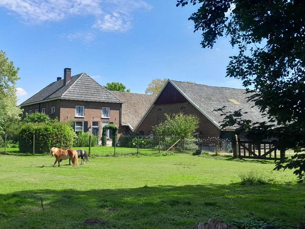 Steengroeveweg 3, Lintelo