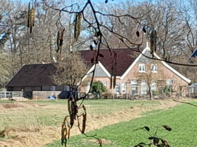 Tammeldijk 2, Lintelo (Oud Rensink)