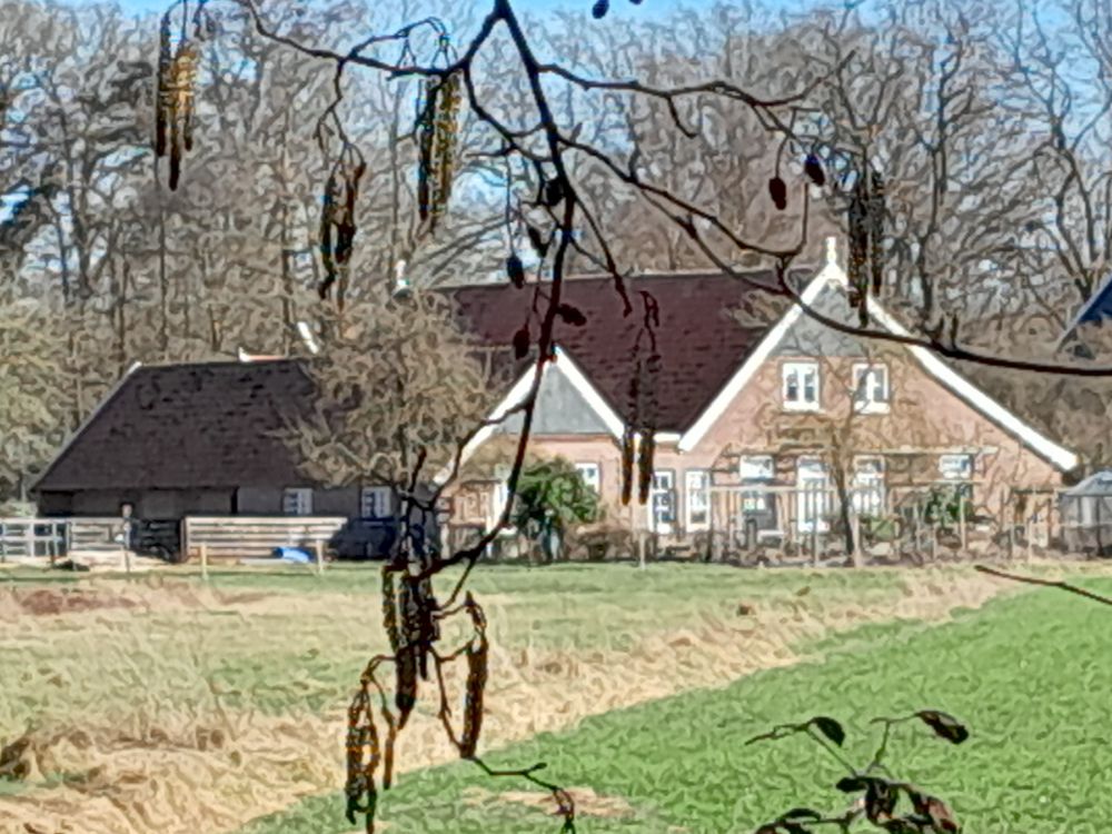 Tammeldijk 2, Lintelo (Oud Rensink)