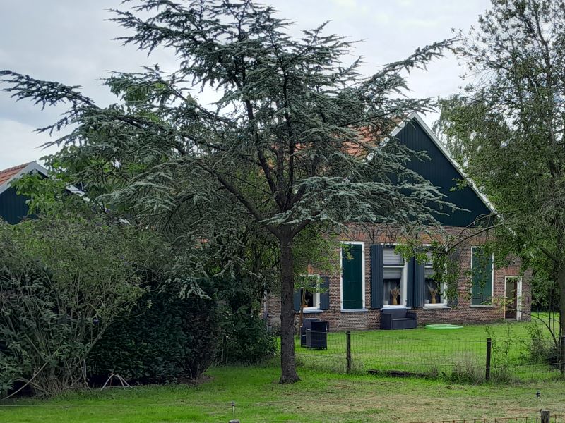 Tammeldijk 5, Lintelo (Groot Tammel)