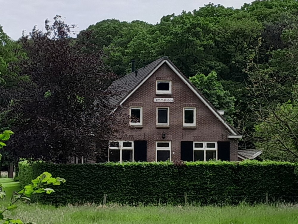Tammeldijk 9, Lintelo (Tammels Bos)