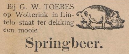 Wolterink, Lintelo - Aaltensche Courant, 01-07-1899