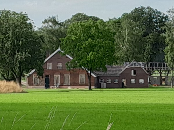 Zigtvree - Kriegerdijk 4, Haart