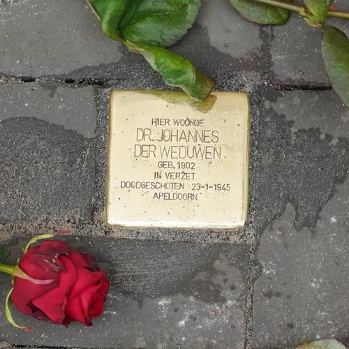 Stolperstein Johannes der Weduwen - Landstraat 41, Aalten