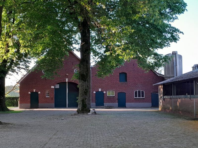 Kroondijk 3, Haart (Fajalobie)