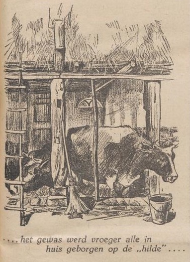 In the past, all the crops were stored indoors on the hayloft.