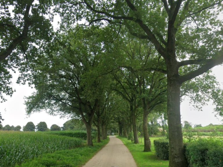 Koningsweg, Aalten