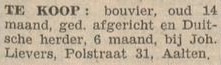 Polstraat 31, Aalten (Lievers) - De Graafschapper, 25-06-1946