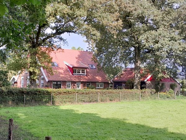 Huiskermatedijk 3, Haart