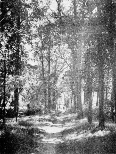 Nannielaantje - Graafschapbode, 30-04-1934