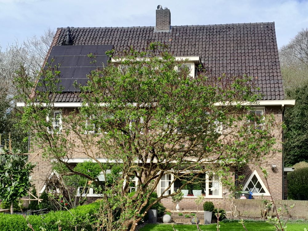 Wehmerstraat 5-7, Aalten (2024)