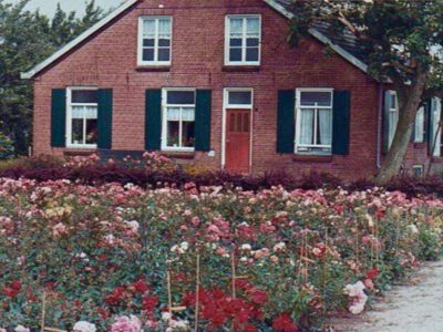 Moerveldweg 5, Lintelo (Op de Pas), 1966