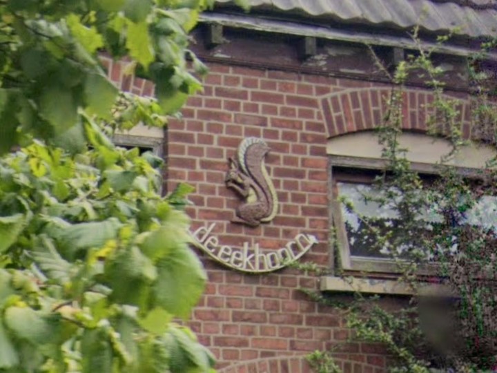 De Eekhoorn - Barloseweg 2, Dale