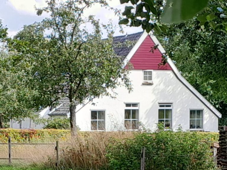 Bijnenweg 9, Dale