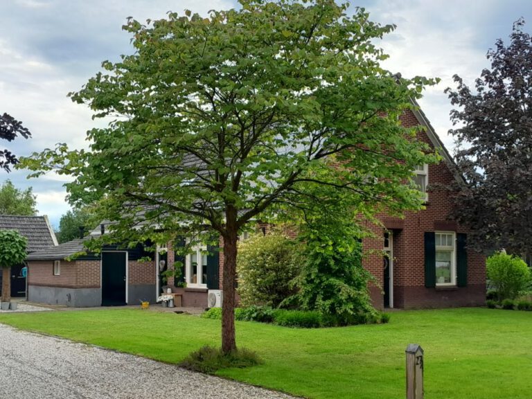 Schooldijk 27, Lintelo (2024)
