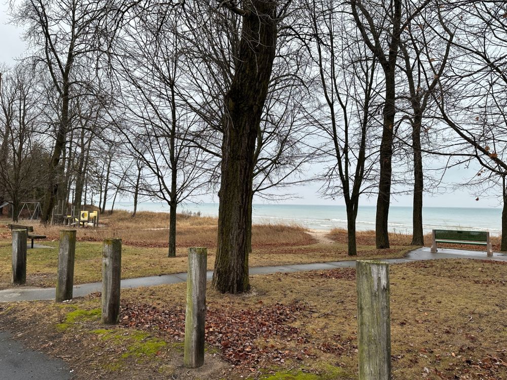 Amsterdam Park and Beach, 2024 (Photo: Kendra A. Kennedy)