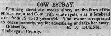 Duenk, Gibbsville - Sheboygan Newsman, June 29, 1852